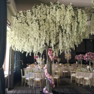 White Wisteria Tree
