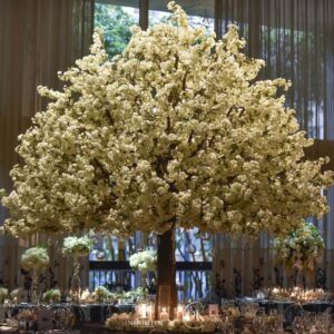 4m White Cherry Blossom Tree