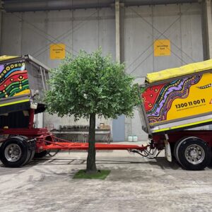 4m Fig Tree