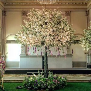 5m White Cherry Blossom Tree
