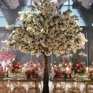 Crepe Myrtle Tree