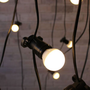 Festoon Lighting