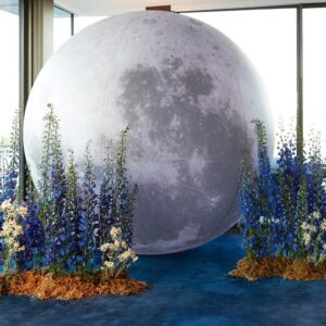 Full Moon - 2m & 3m