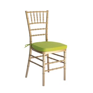 Green Chair Cushion