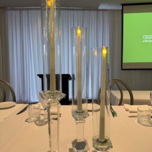 LED Flicker Flameless Tapered Dinner Candles 35cm