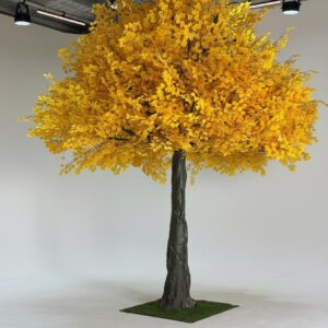 Yellow Autumn Tree 4m