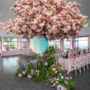5m Pink Cherry Blossom Trees